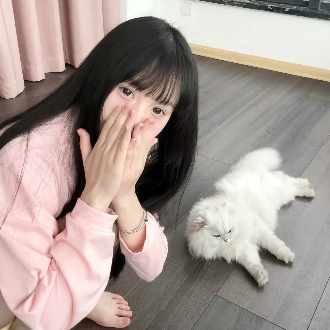 一起飞